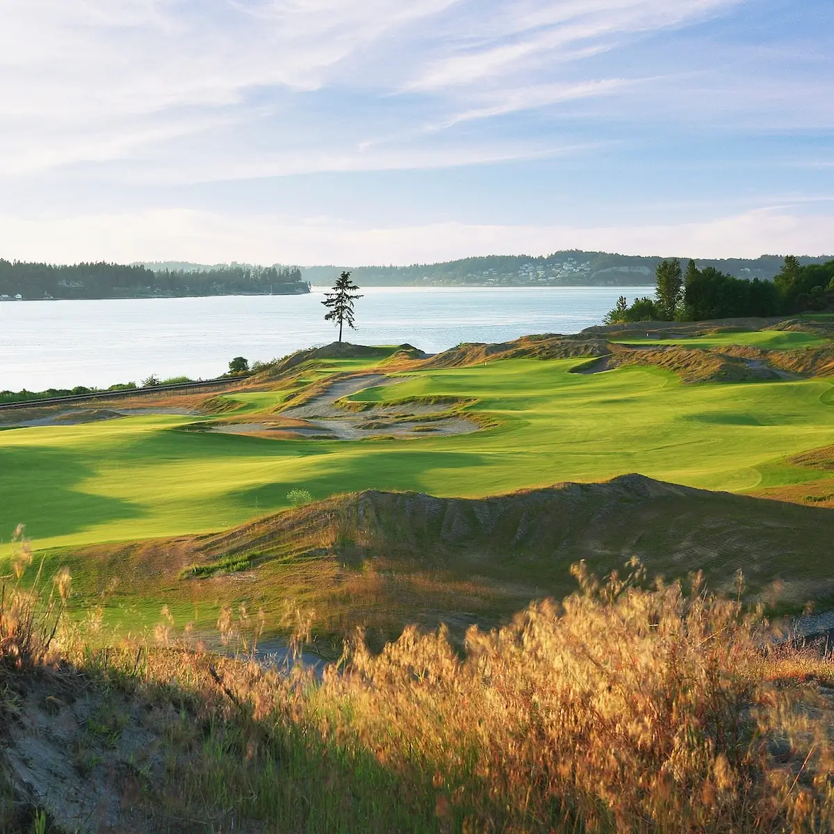 Chambers Bay