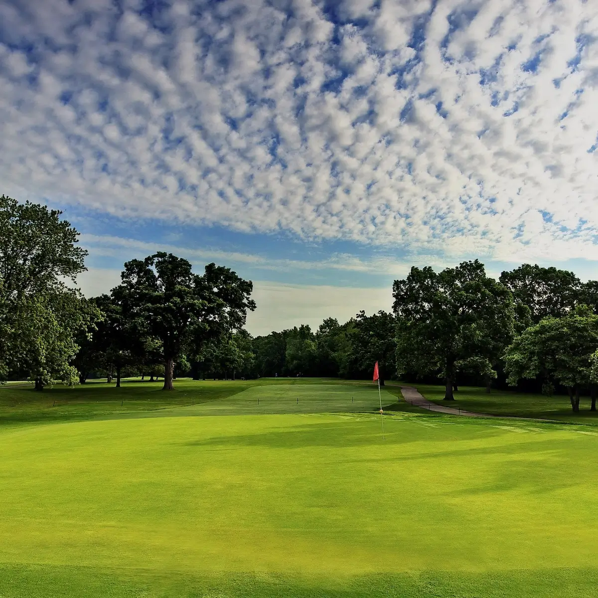 Cog Hill Golf