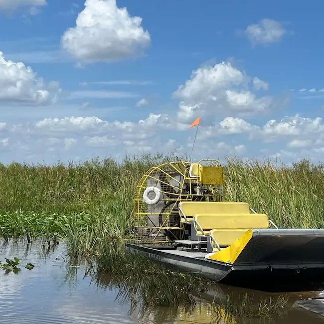 Everglades