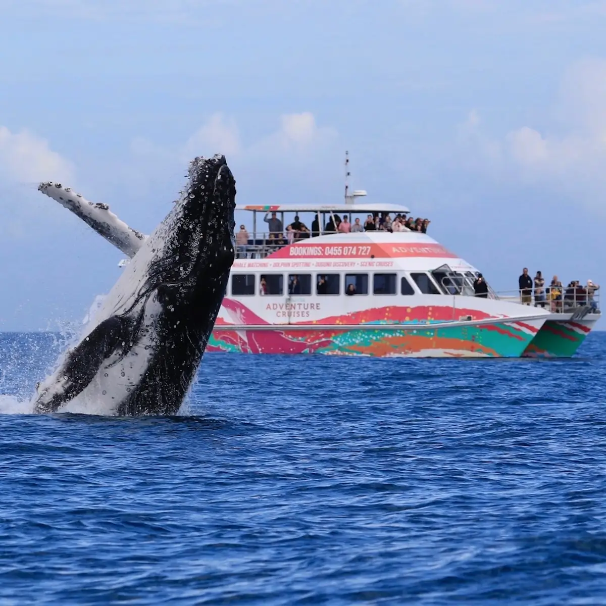 Vacances en famille au Queensland