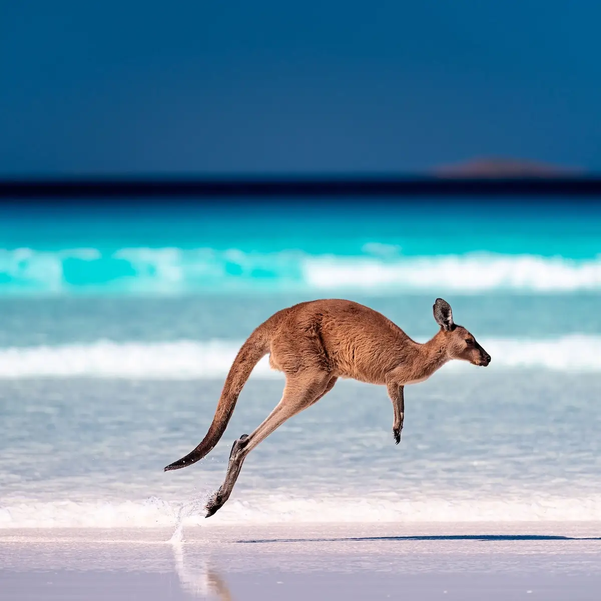 Vacances en famille en Australie