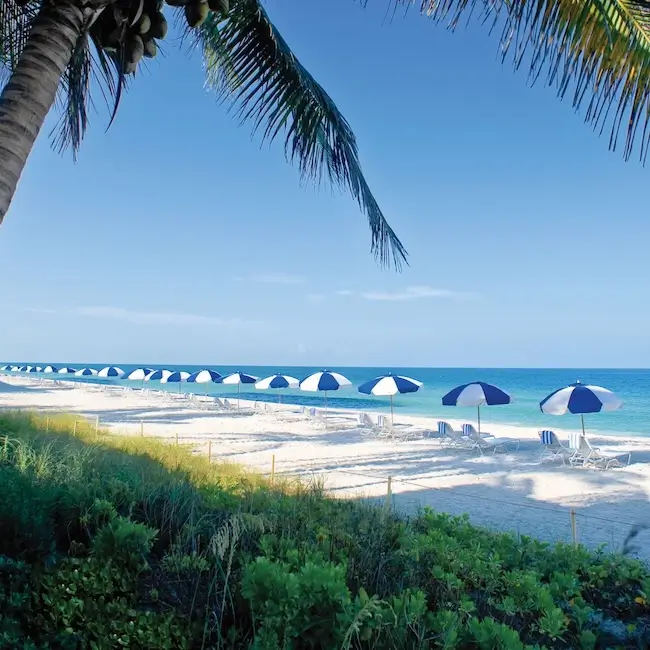 LaPlaya Beach & Golf Resort