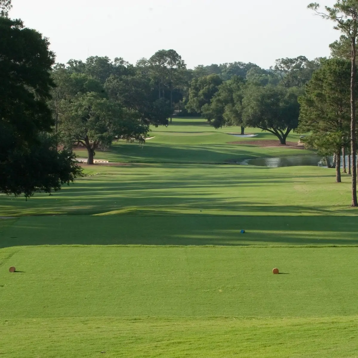 Ocala Golf Club