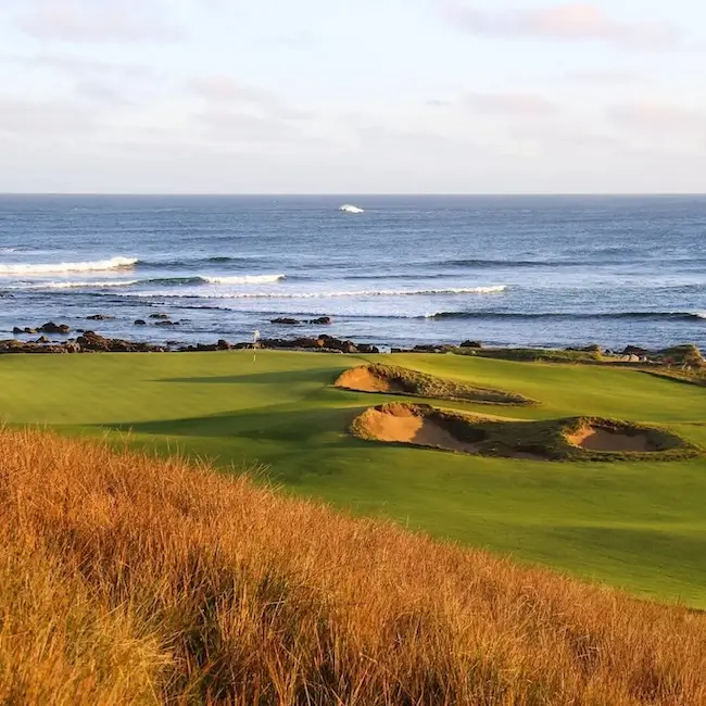 Ocean Dunes