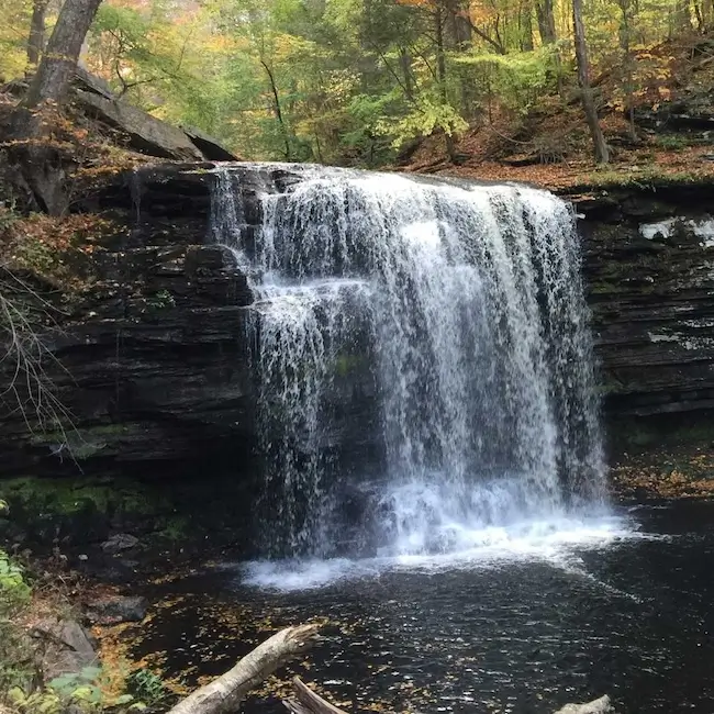 Ricketts Glen