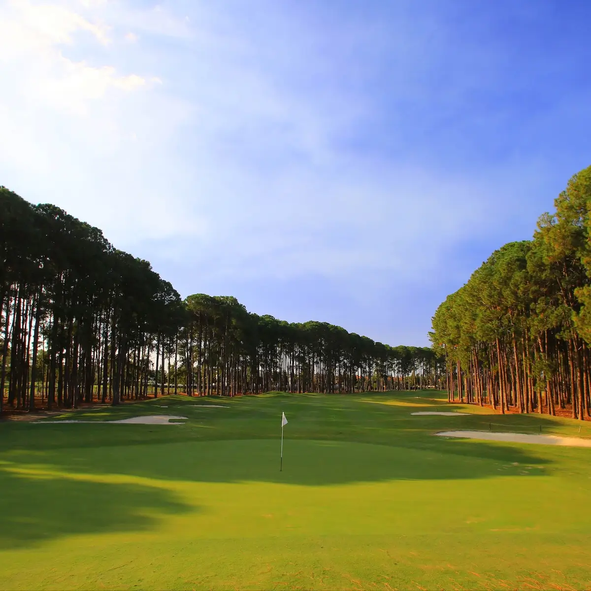 Sanctuary Cove Golf