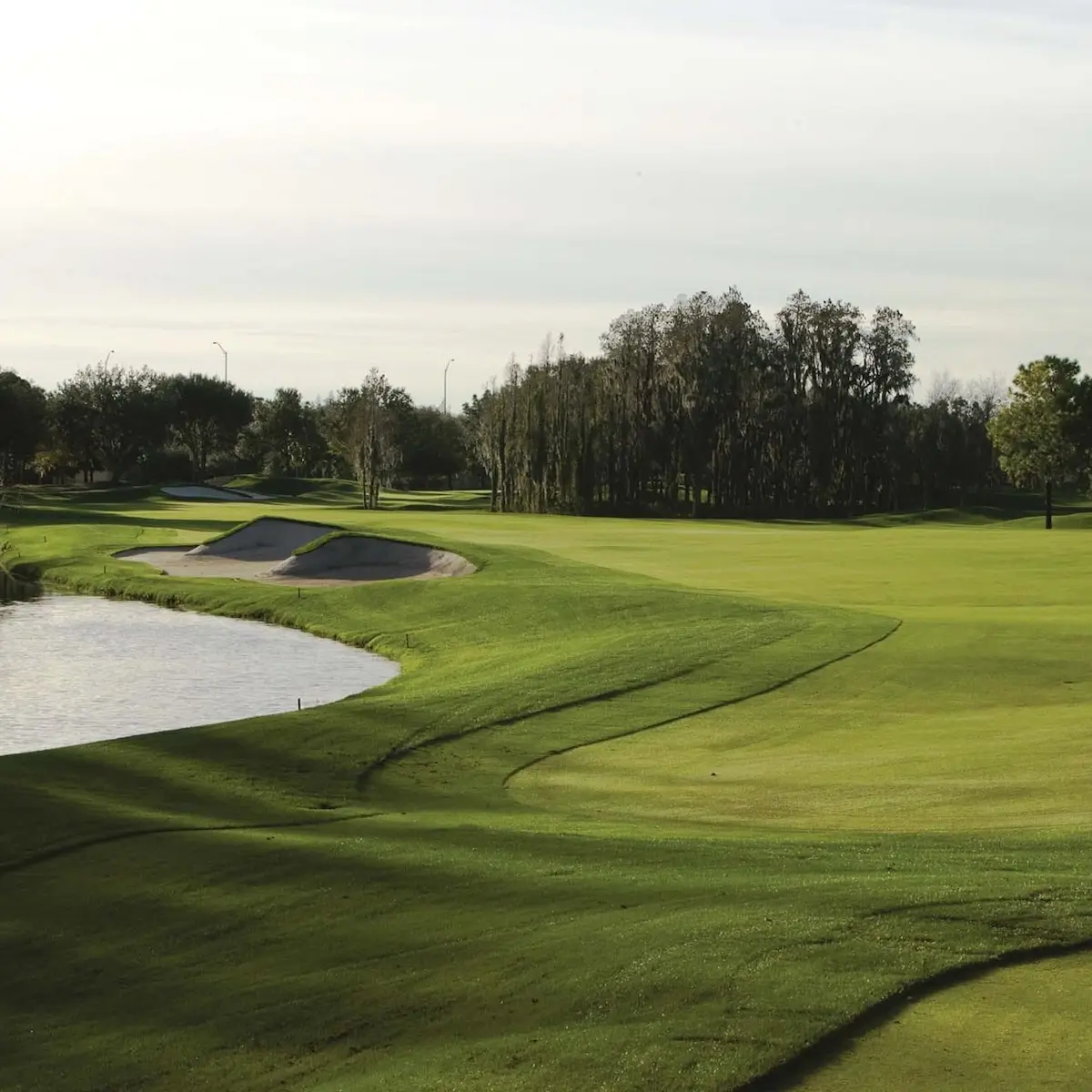 TPC Tampa Bay