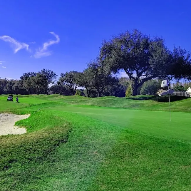 TPC Tampa