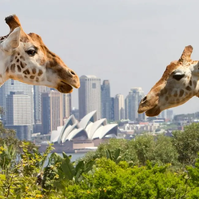 Taronga Zoo de Sydney