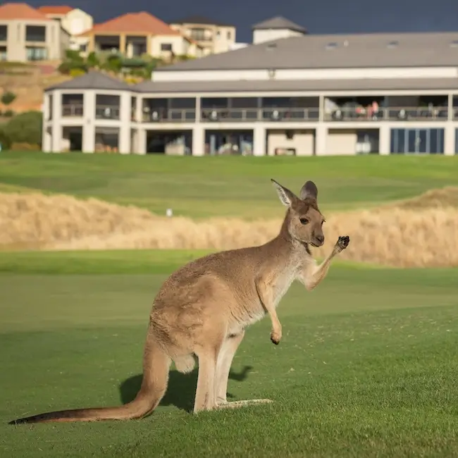 The Links Lady Bay Resort