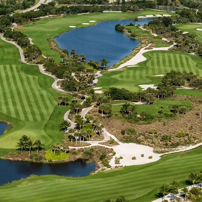 The Rookery at Marco