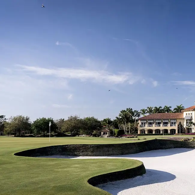 Tiburon Golf Club