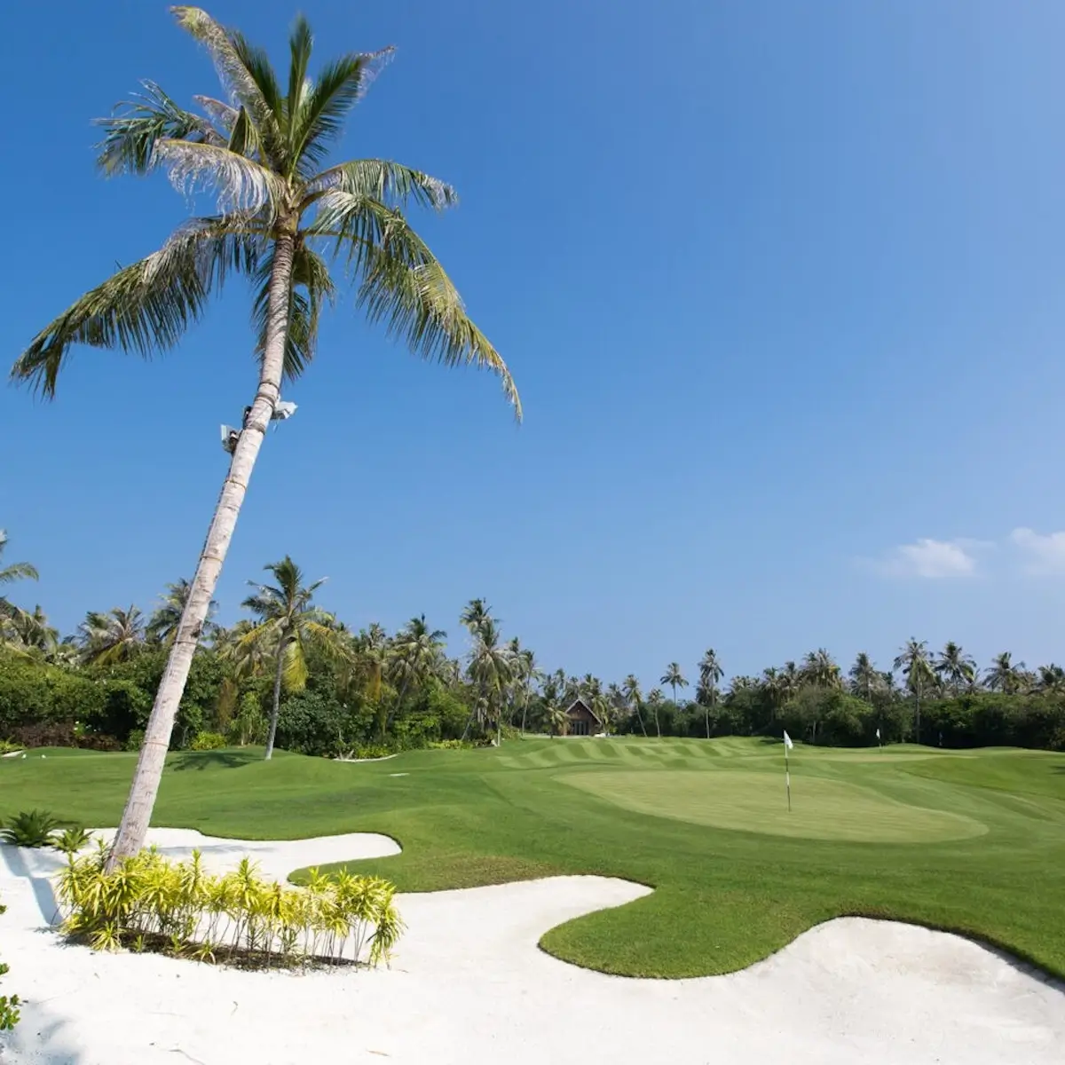 Meilleurs golfs aux Maldives
