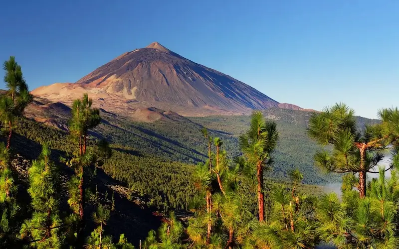 activites canaries guide activites canaries