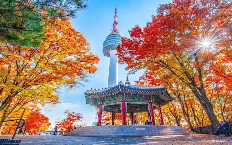 activites seoul activites en coree