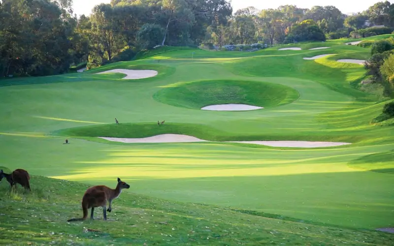 golf australie régions golf australie