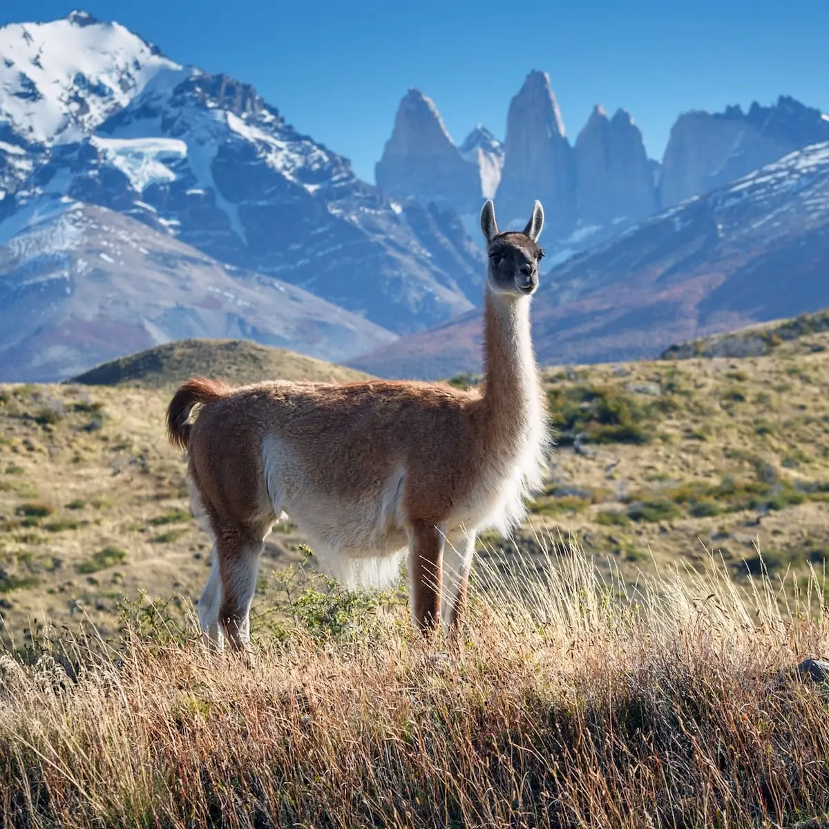Vacances en famille en Argentine