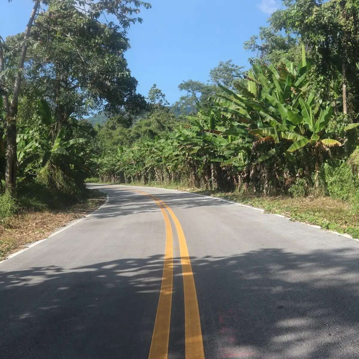 Location de voiture Thaïlande