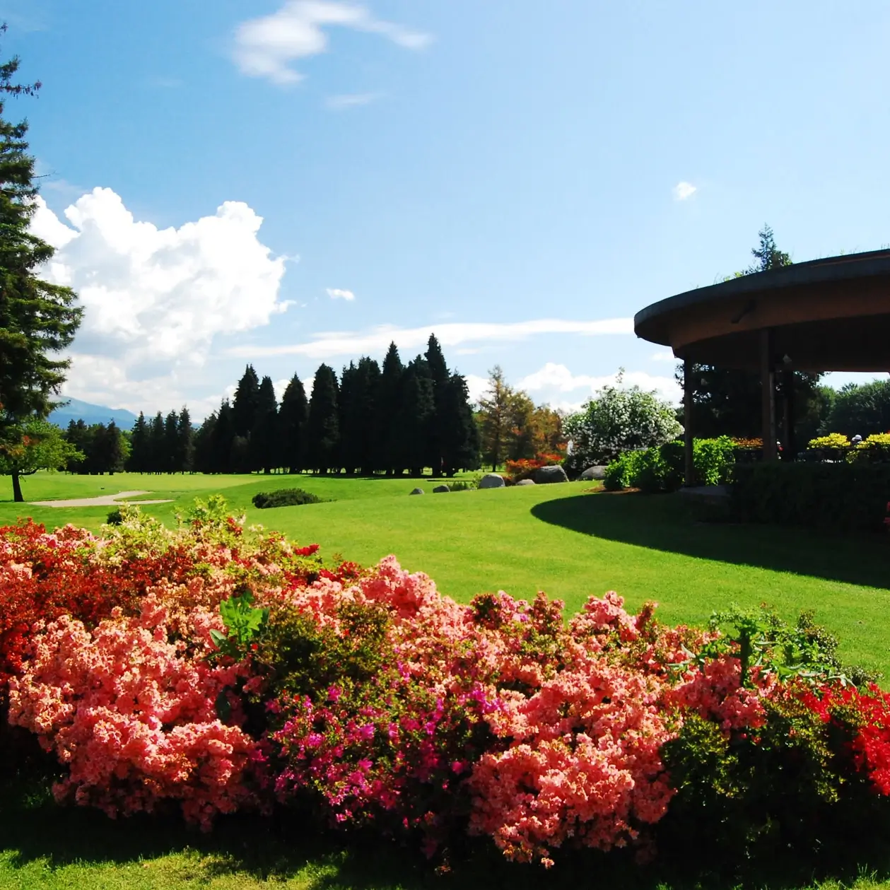 Golf Club Monticello