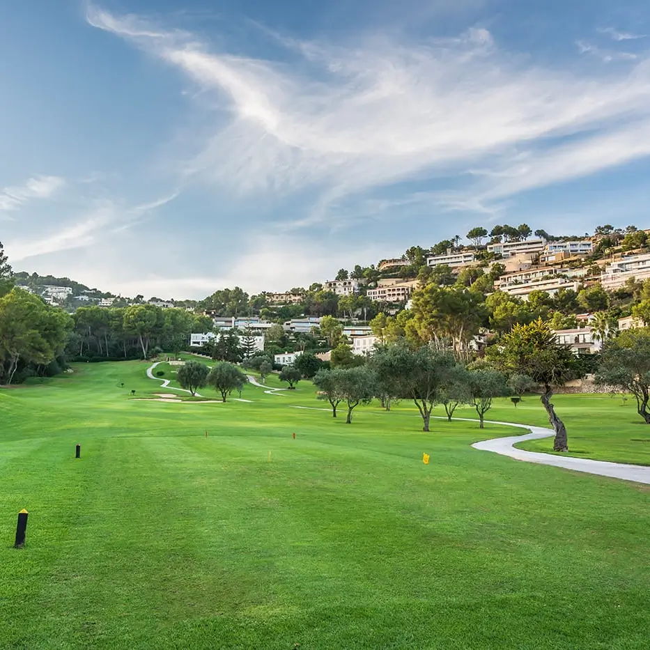 Golf Son Vida