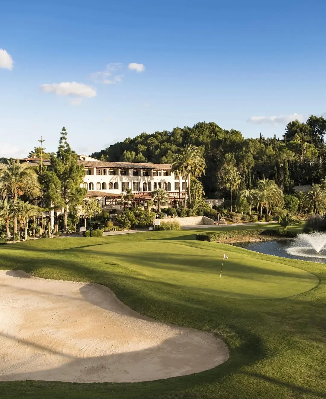 Golf Son Vida