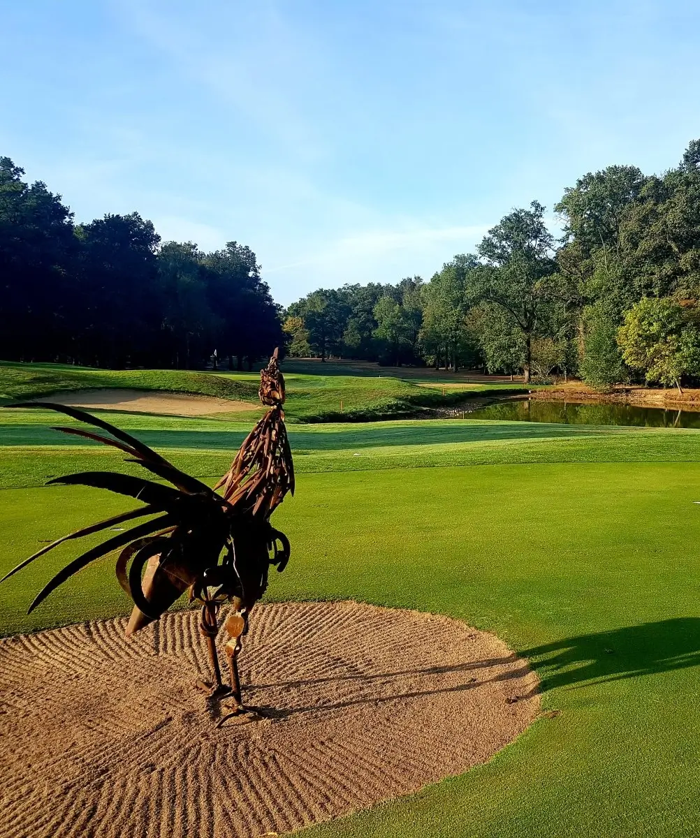 Golf de la Bresse