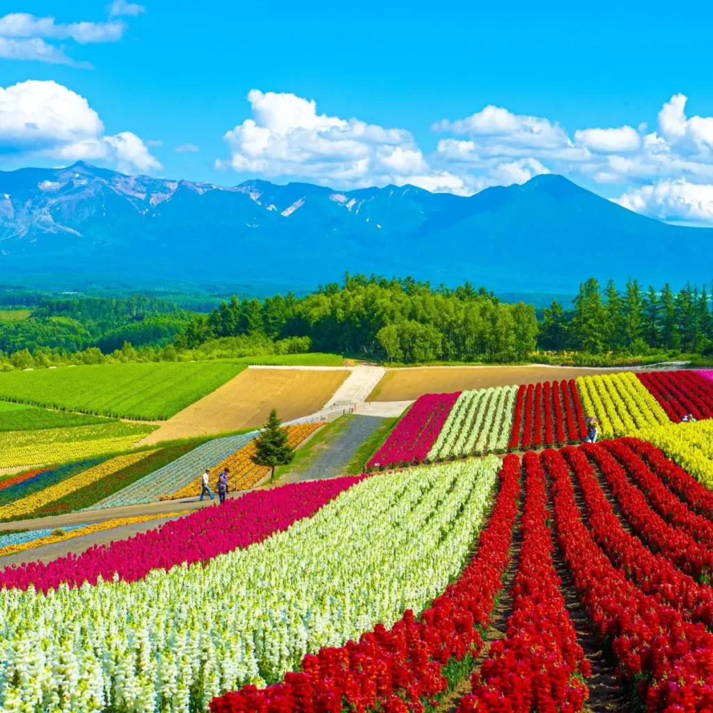 Hokkaido