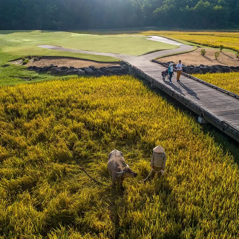 Laguna Golf Lang Co