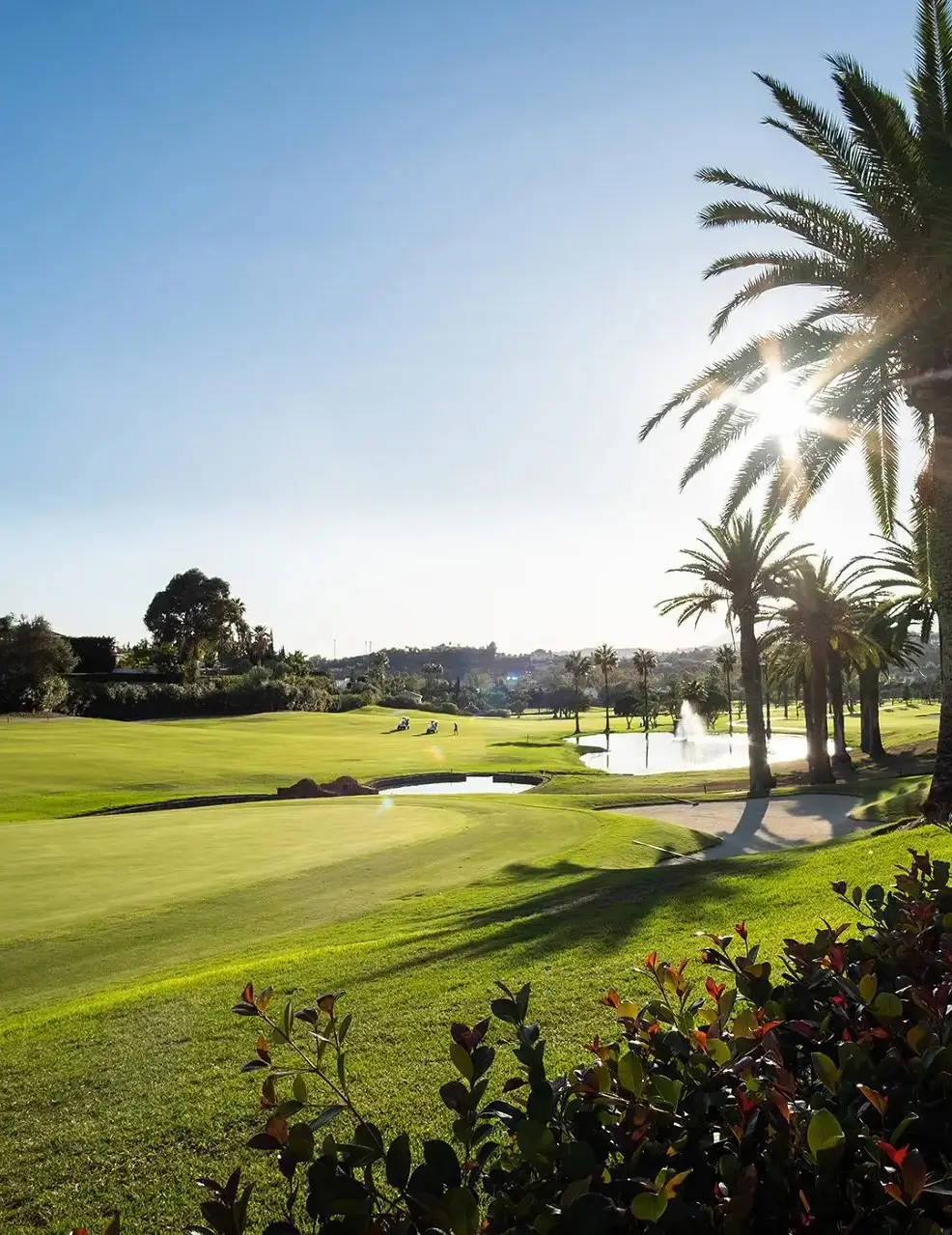 Los Naranjos Golf Club