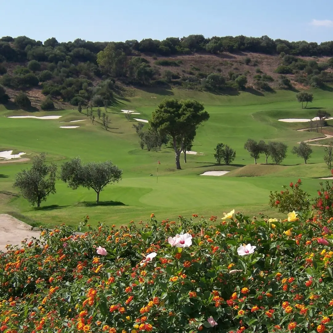 Tanka Golf