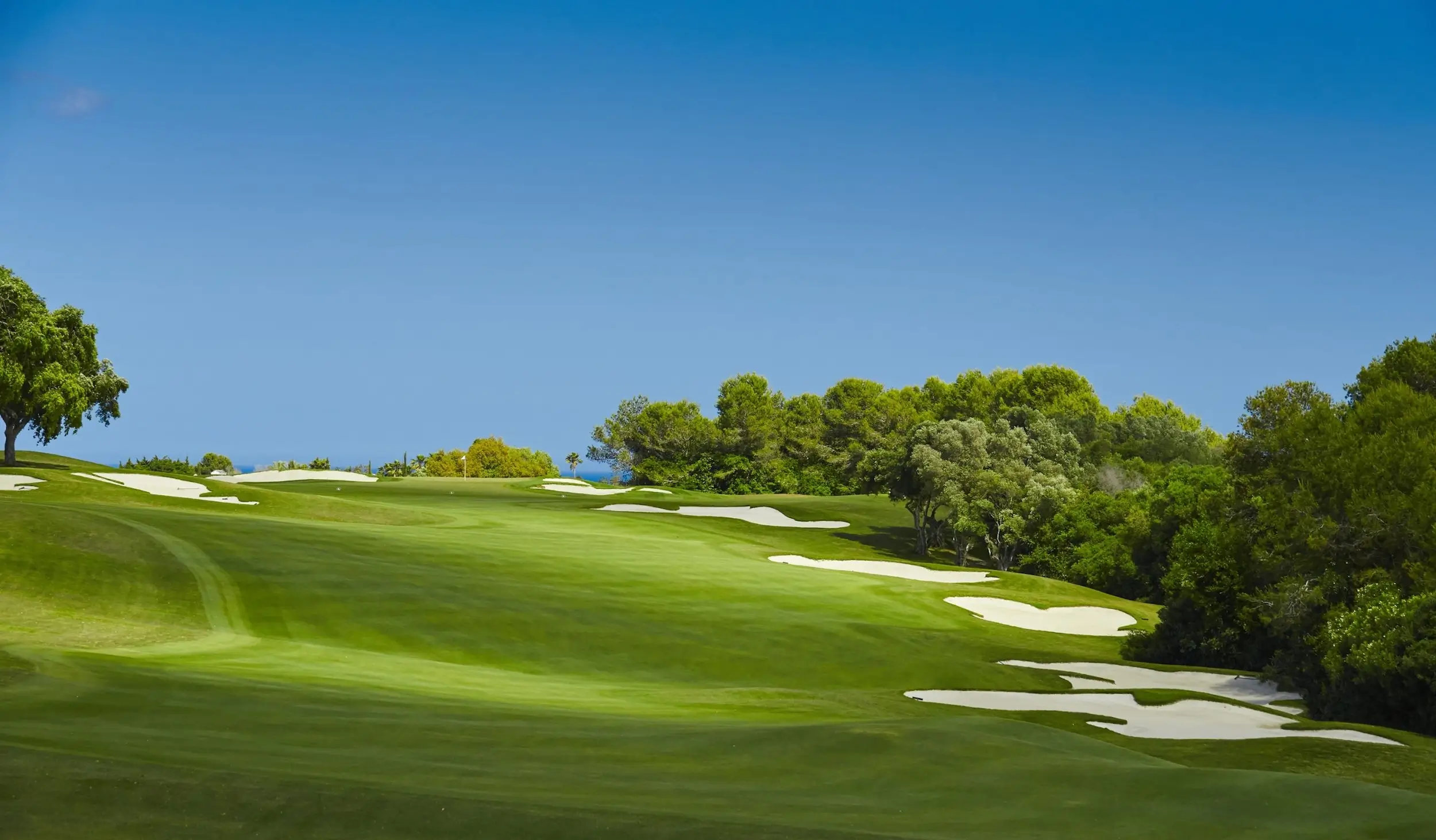 Jouer au golf sur la Costa del Sol