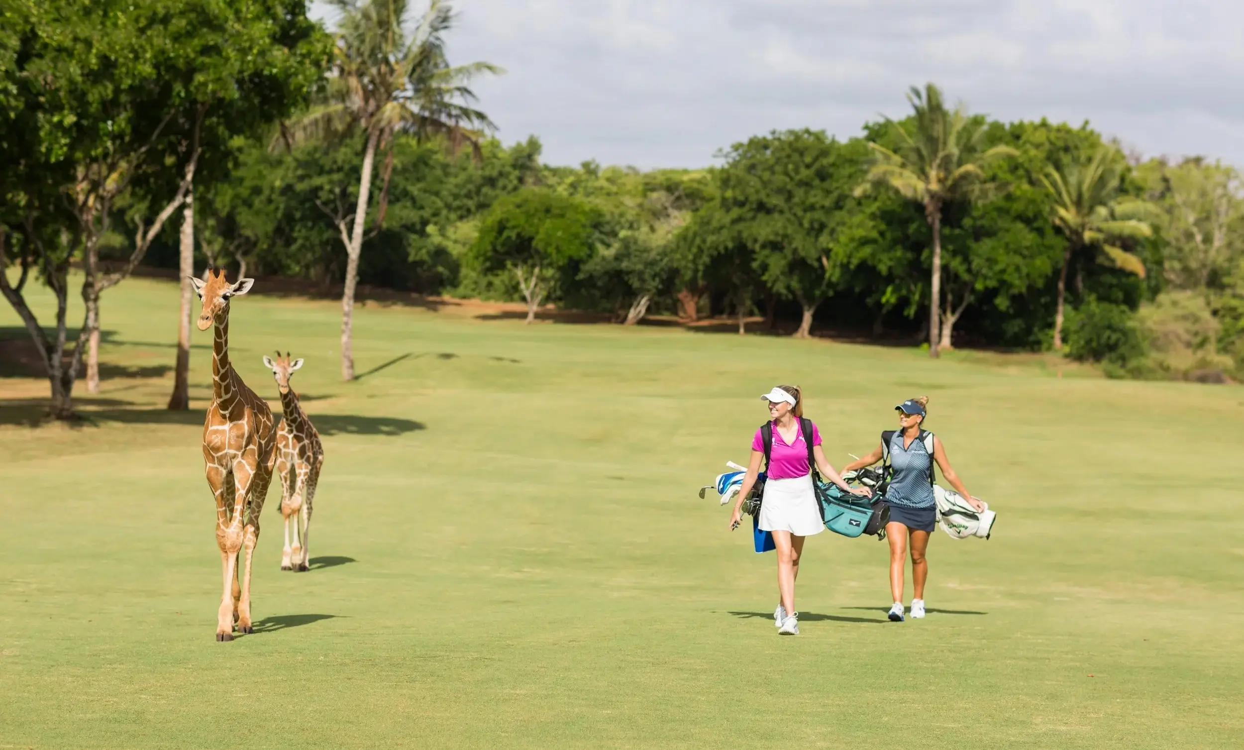golf au kenya