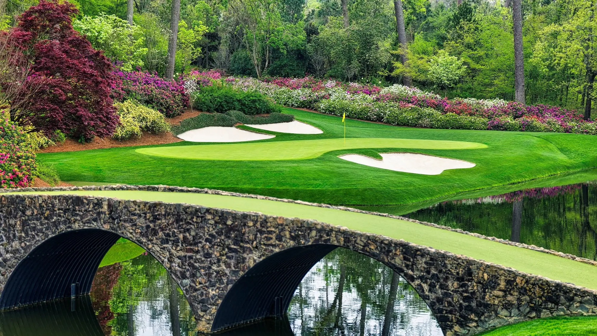 augusta 12th