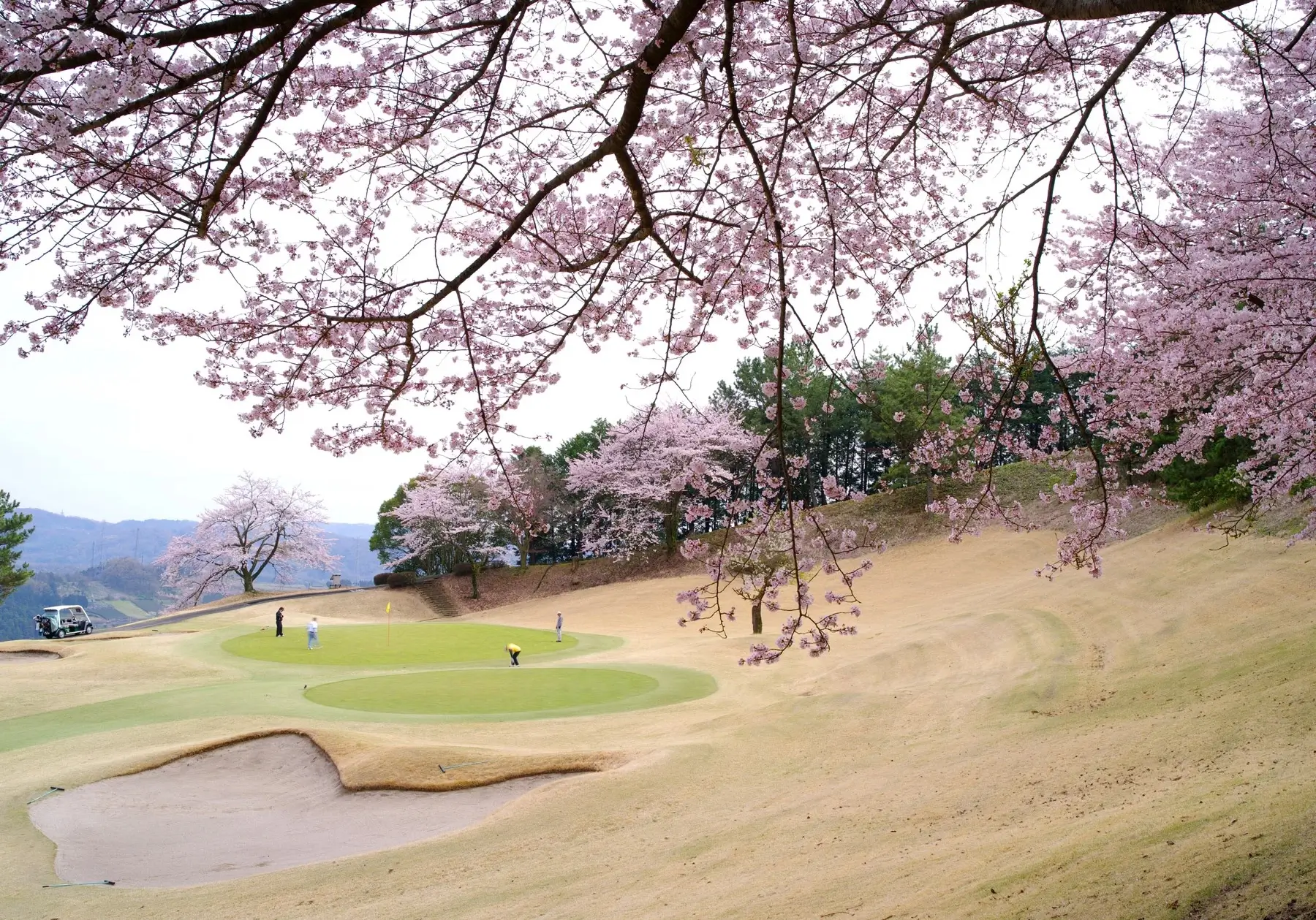 golf fuji