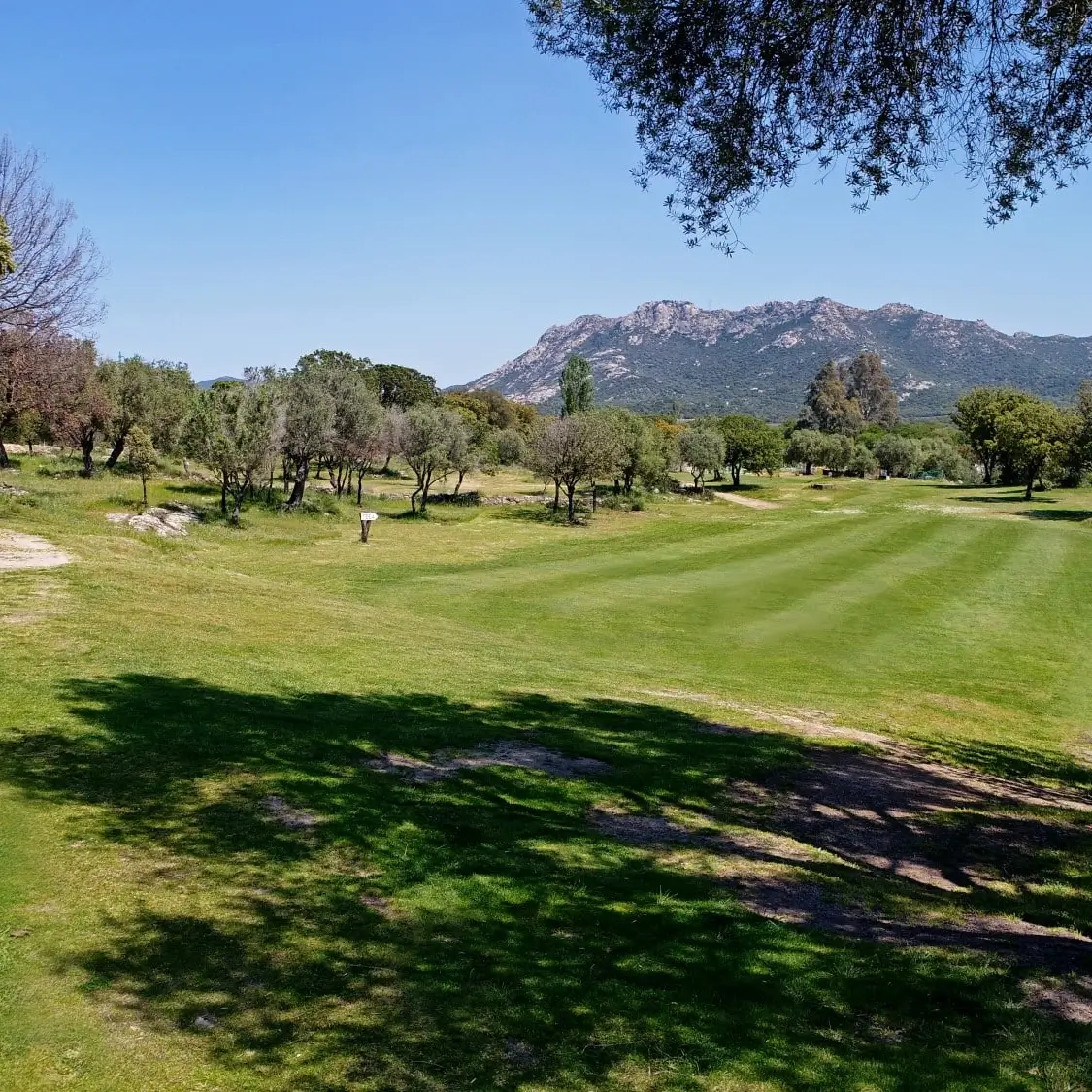 Golf du Reginu