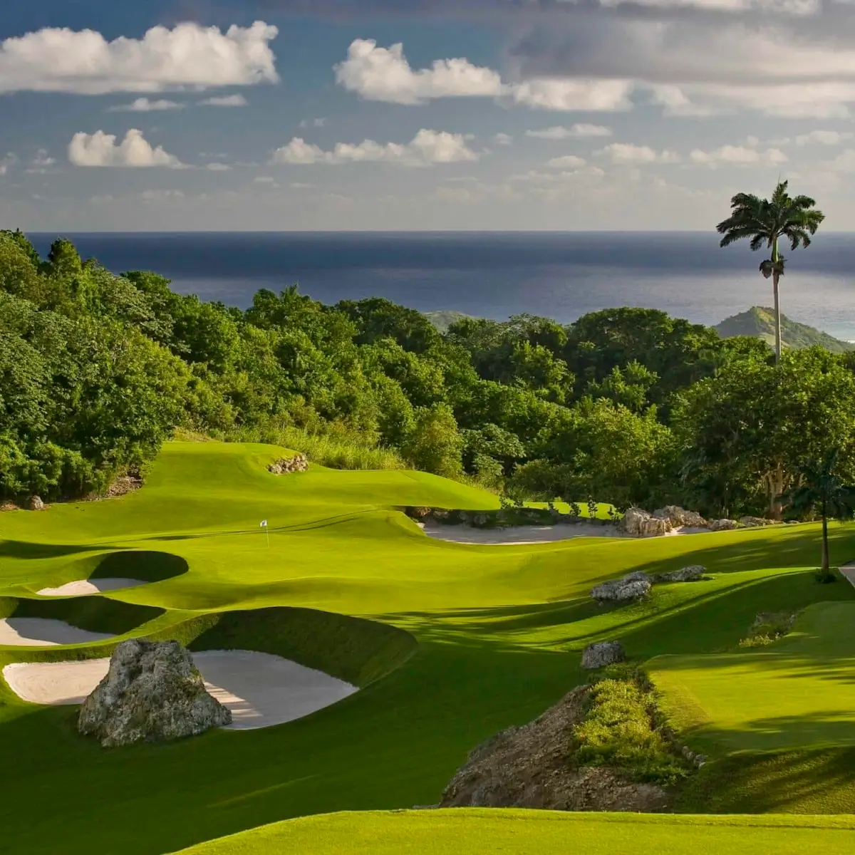 Apes Hill Barbados
