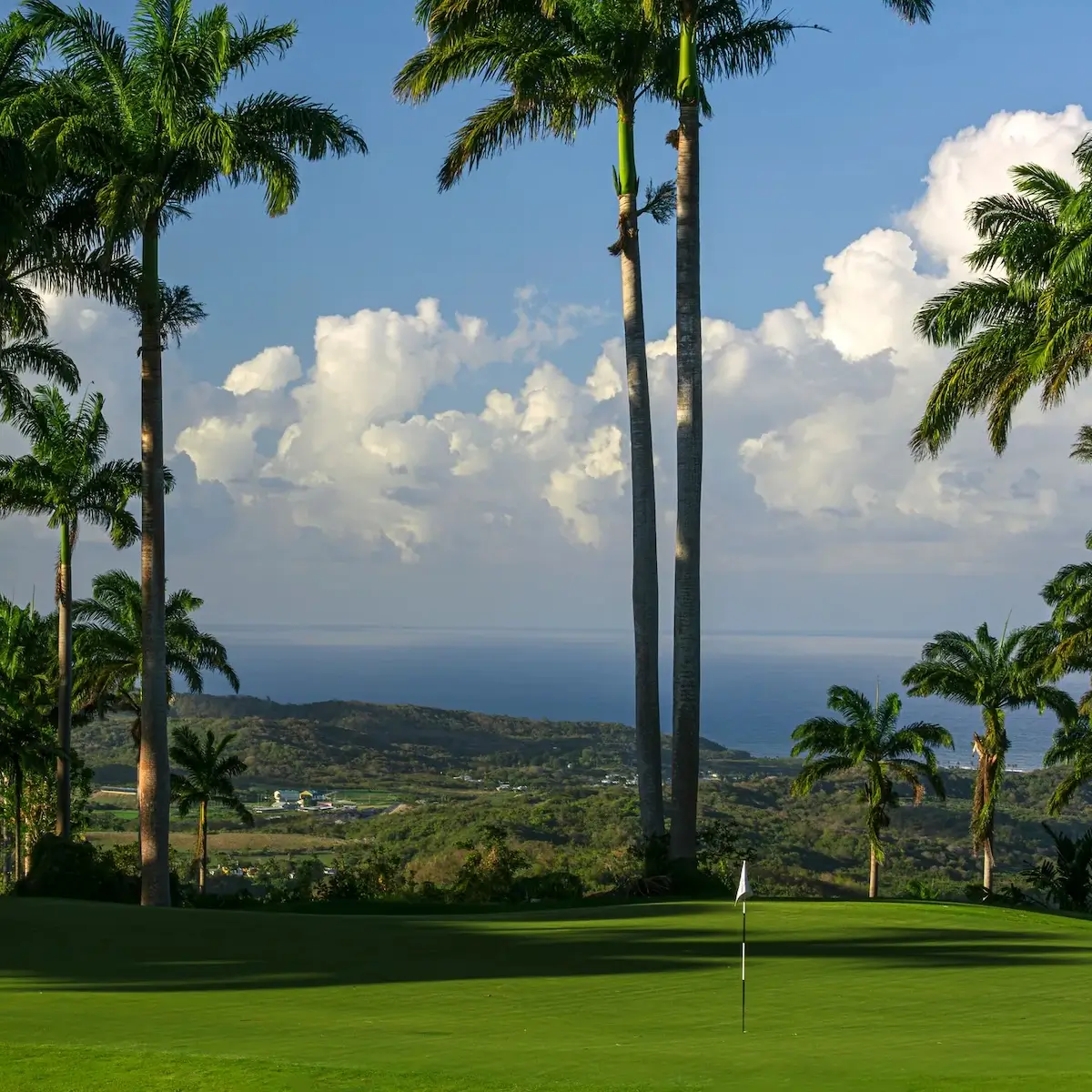 Apes Hill Barbados
