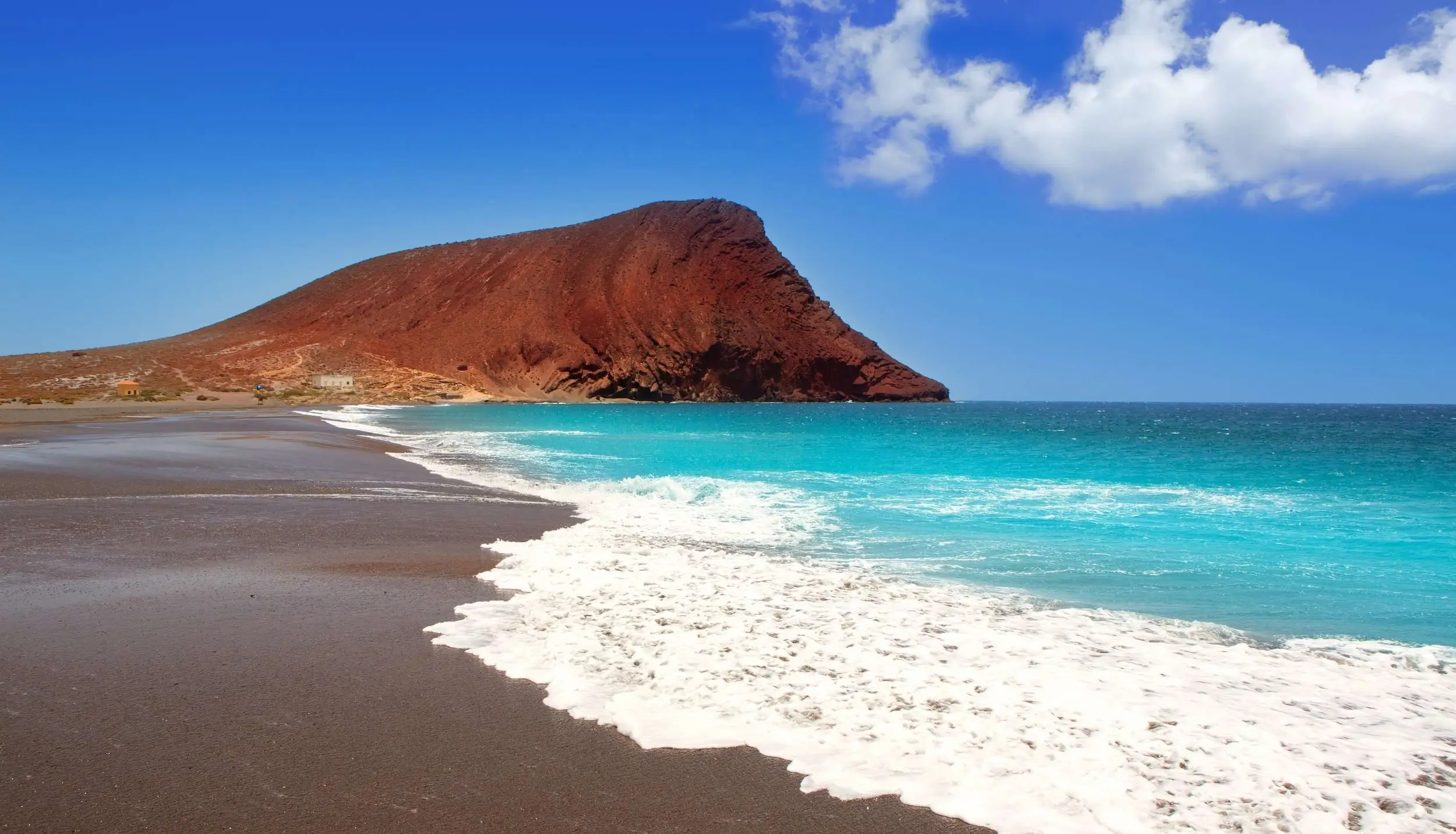 Canaries