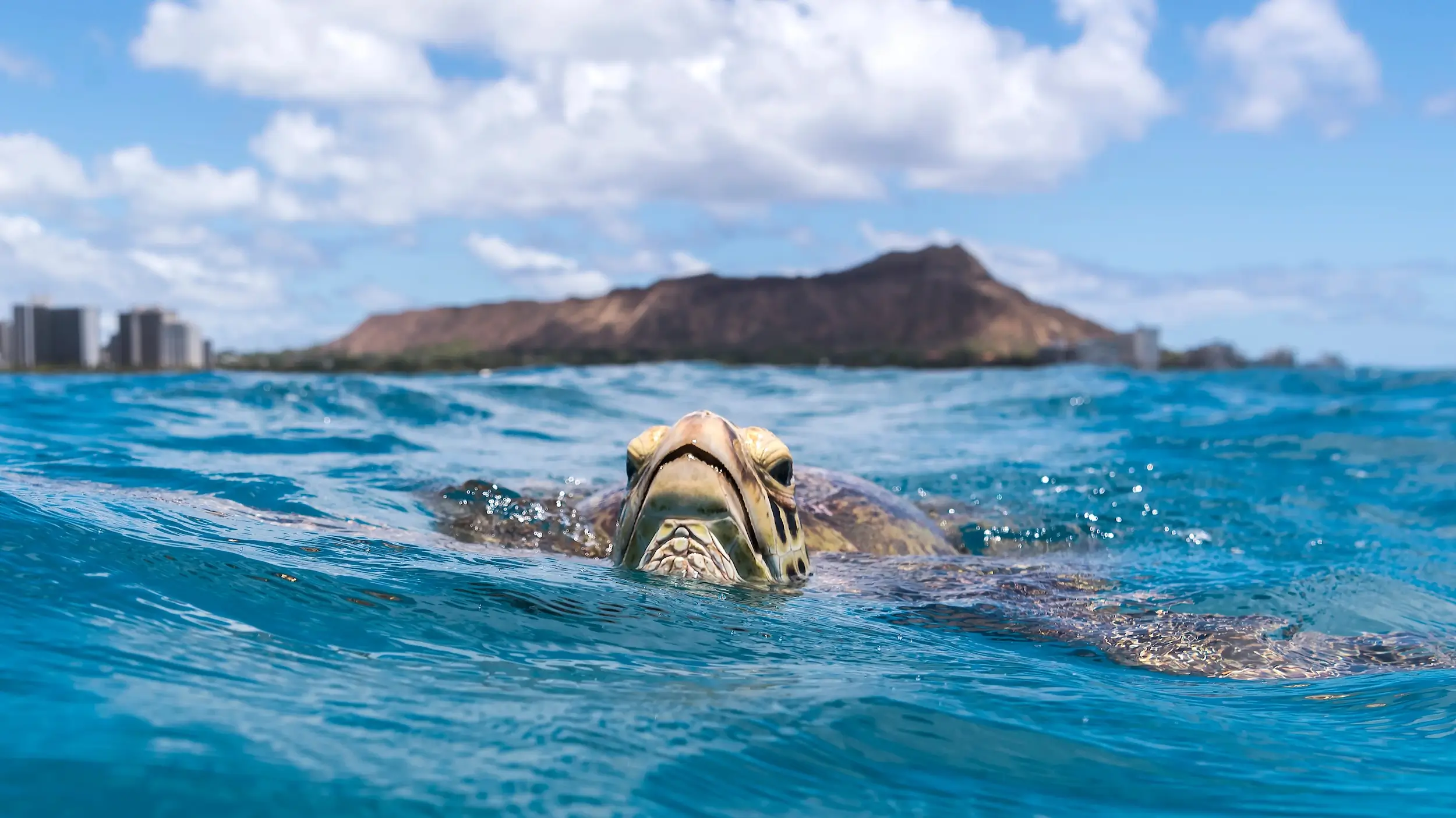 Hawaii en famille