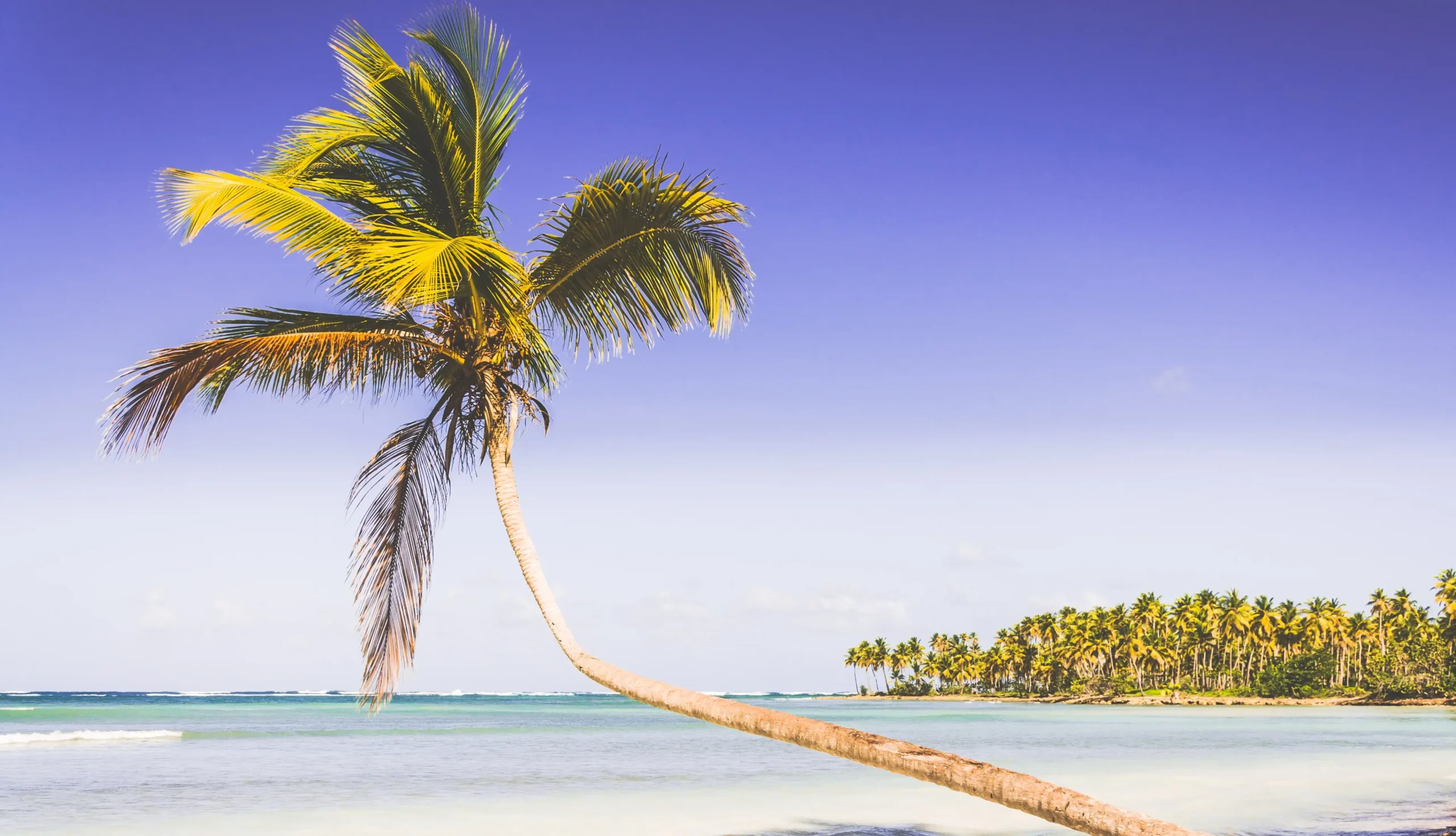 Republique Dominicaine