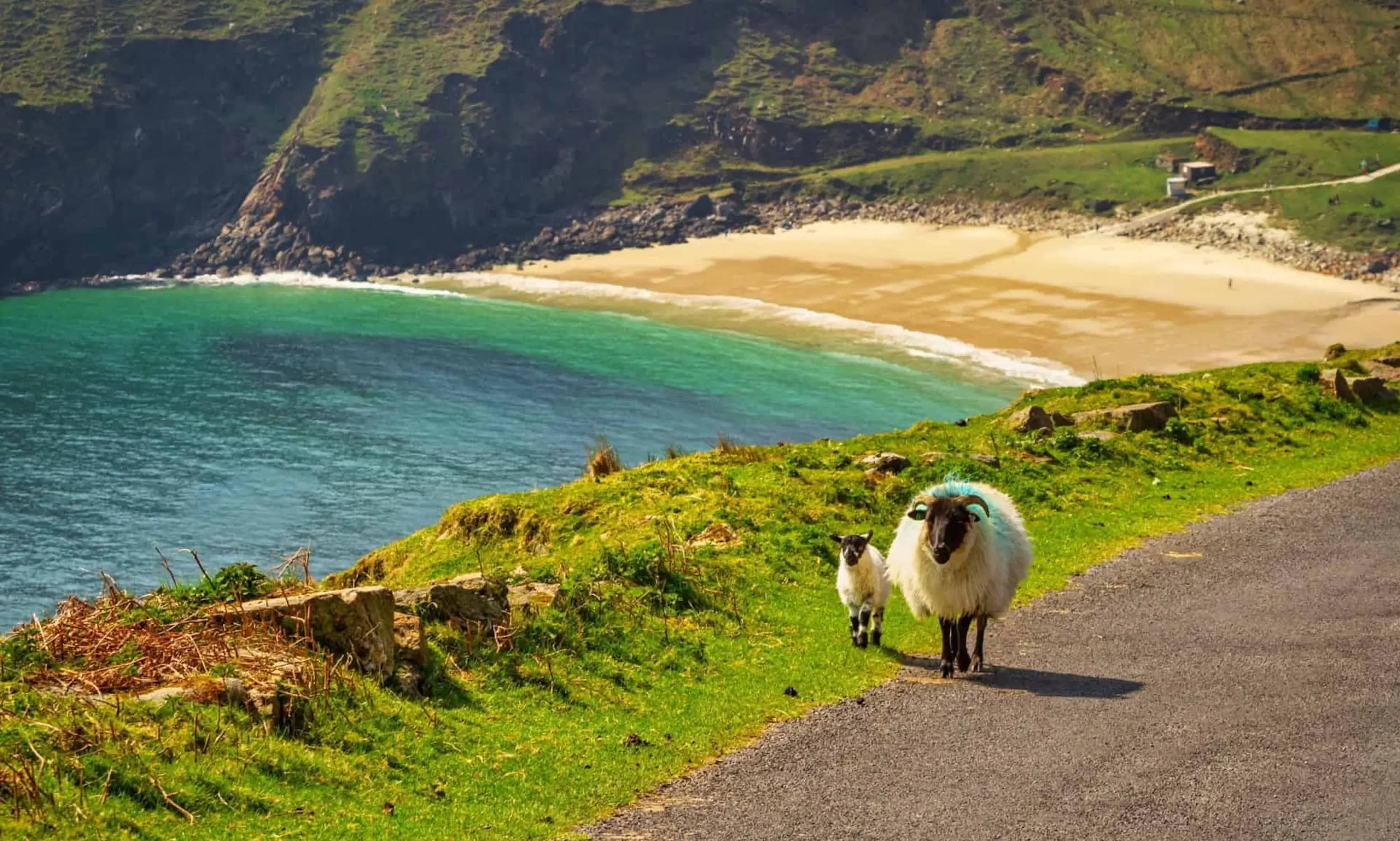 Irlande