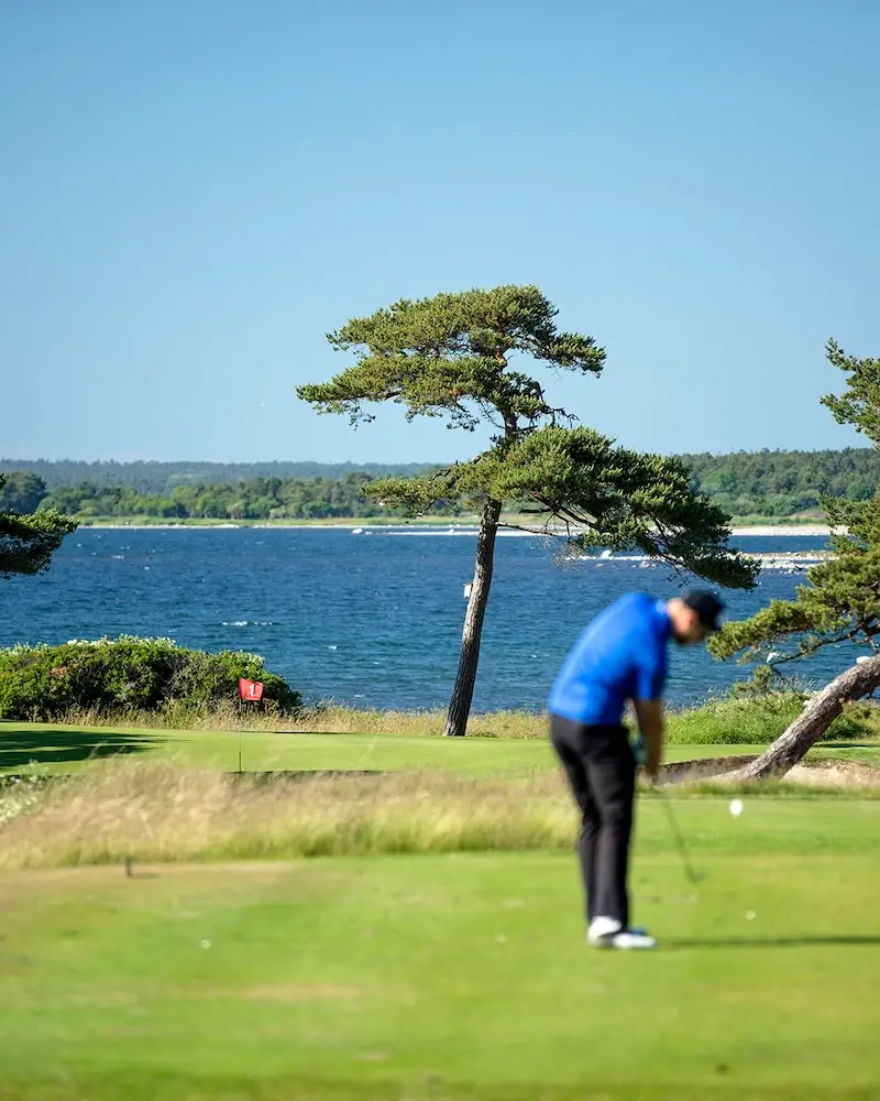 Golf en Juin