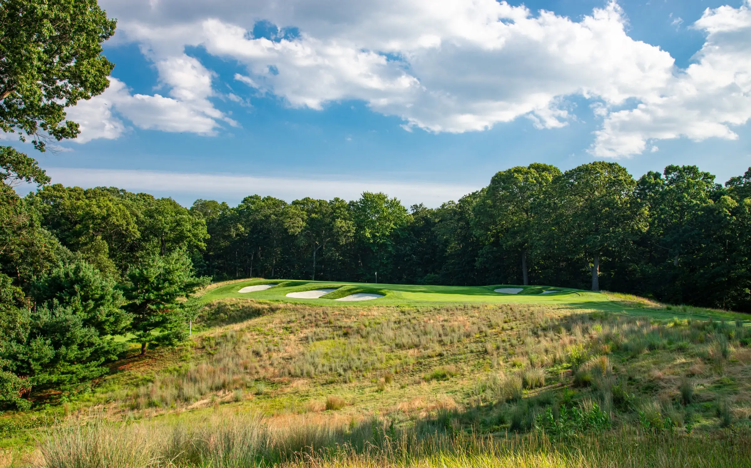 Bethpage black