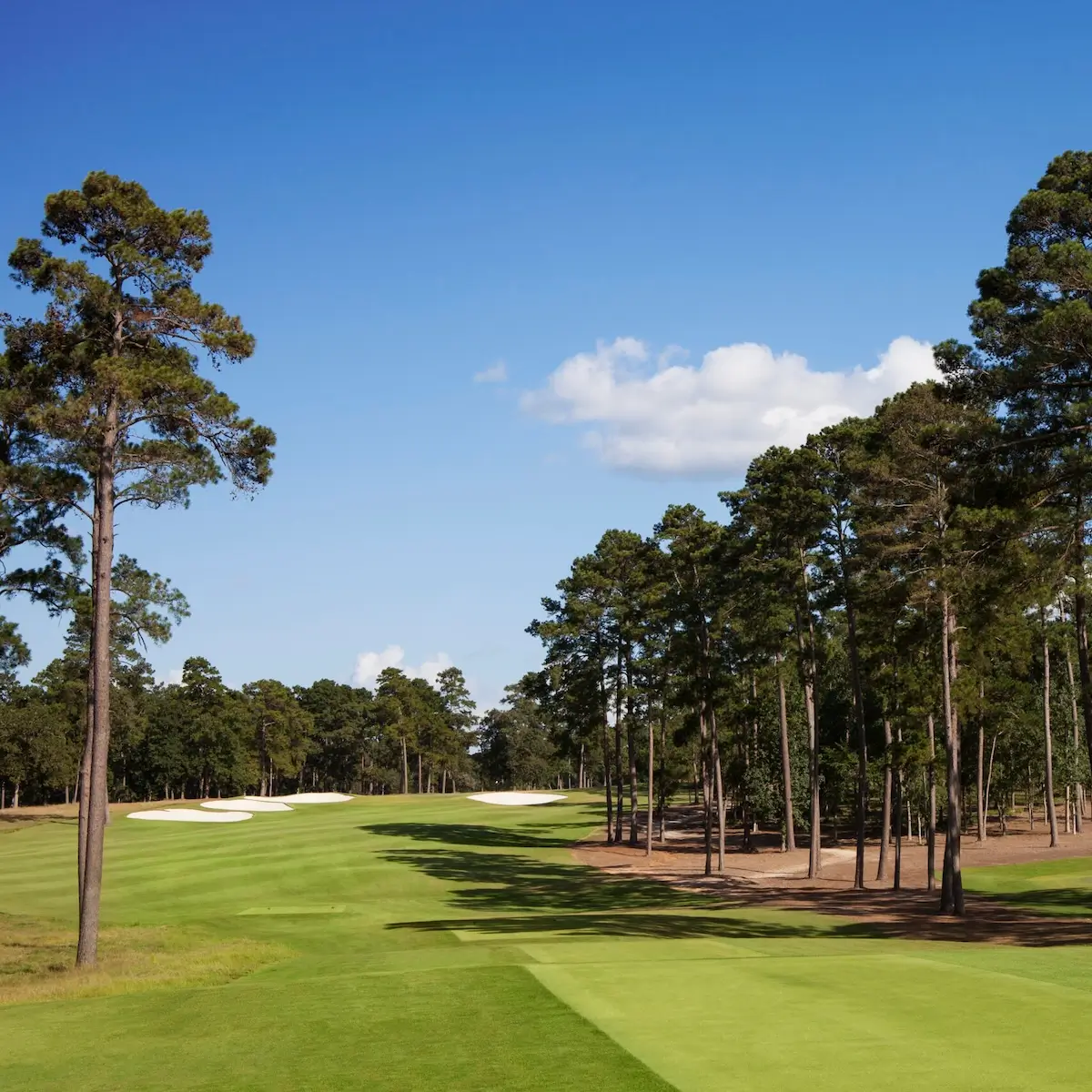 Bluejack National Club