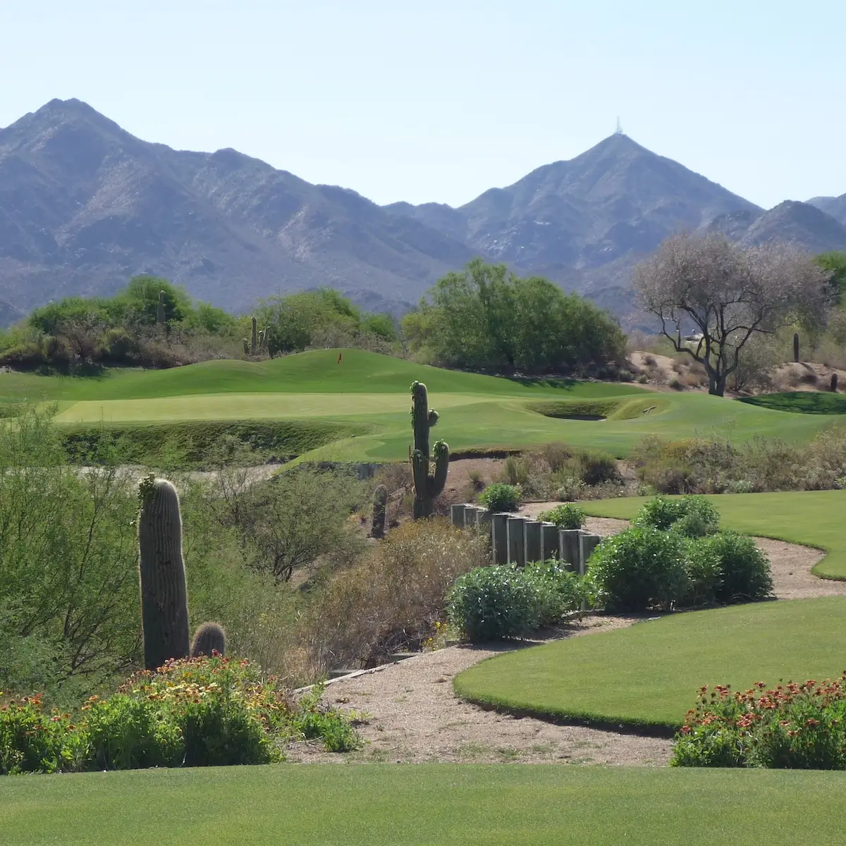 Grayhawk Golf Club