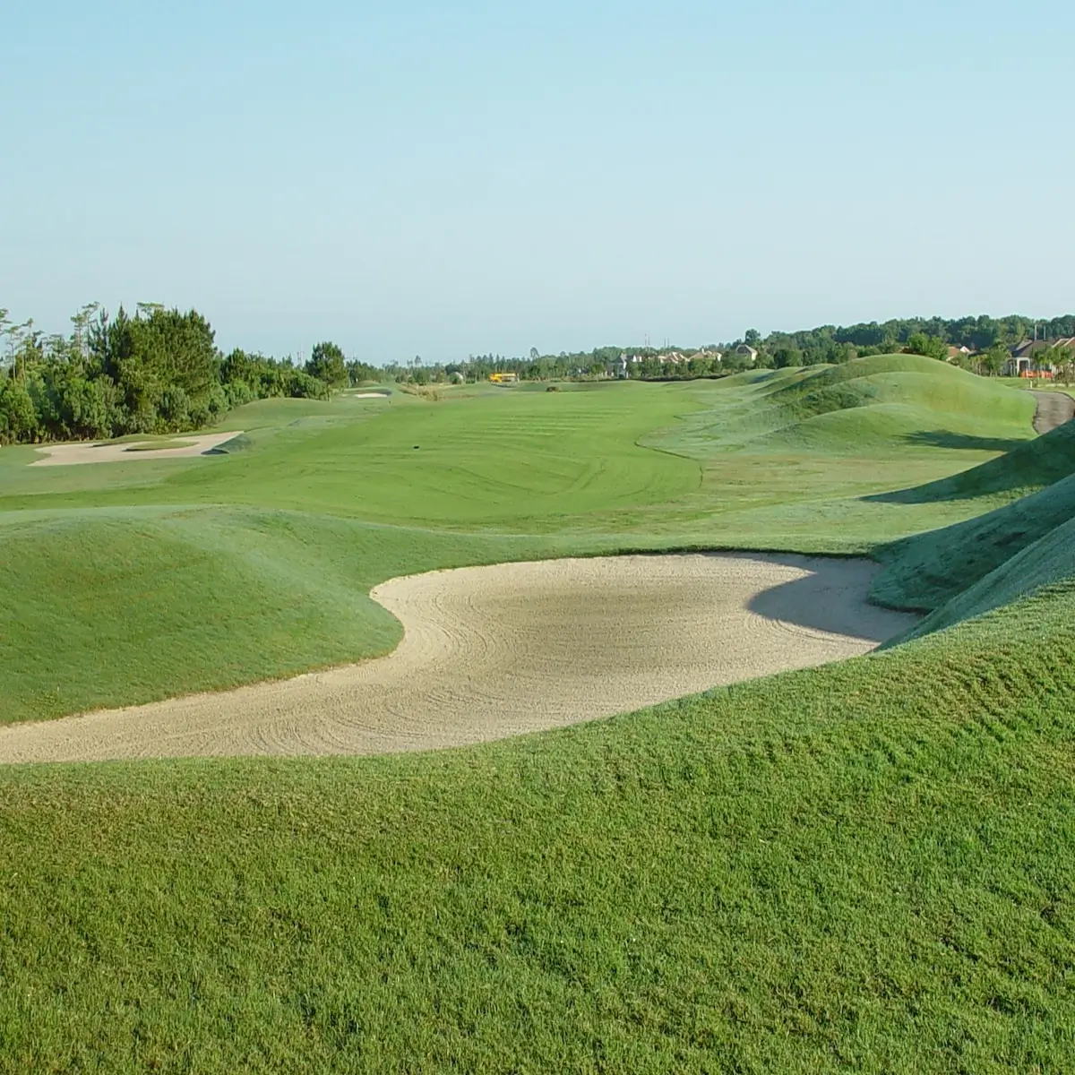 LPGA International