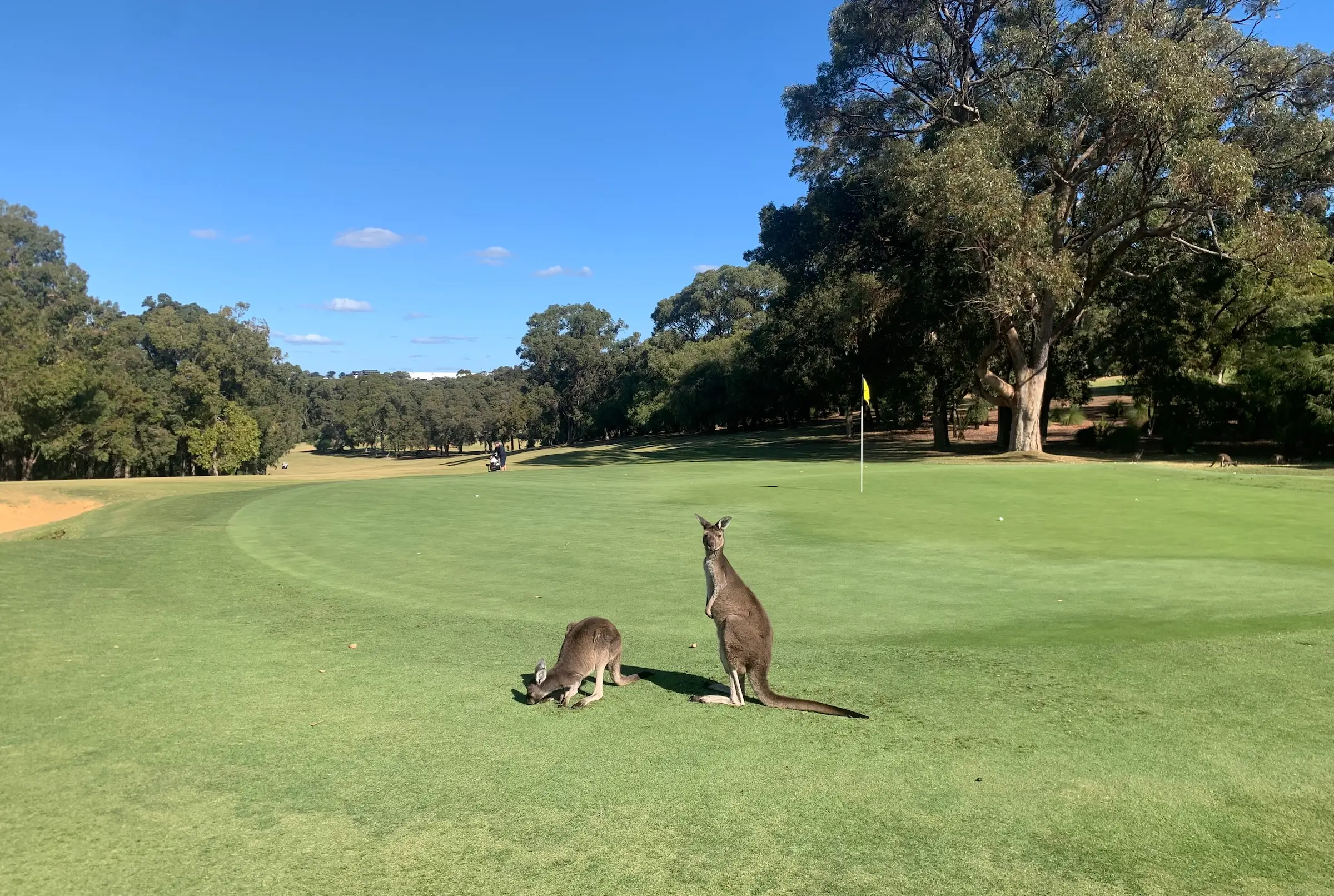 Lake Karrinyup Country Club