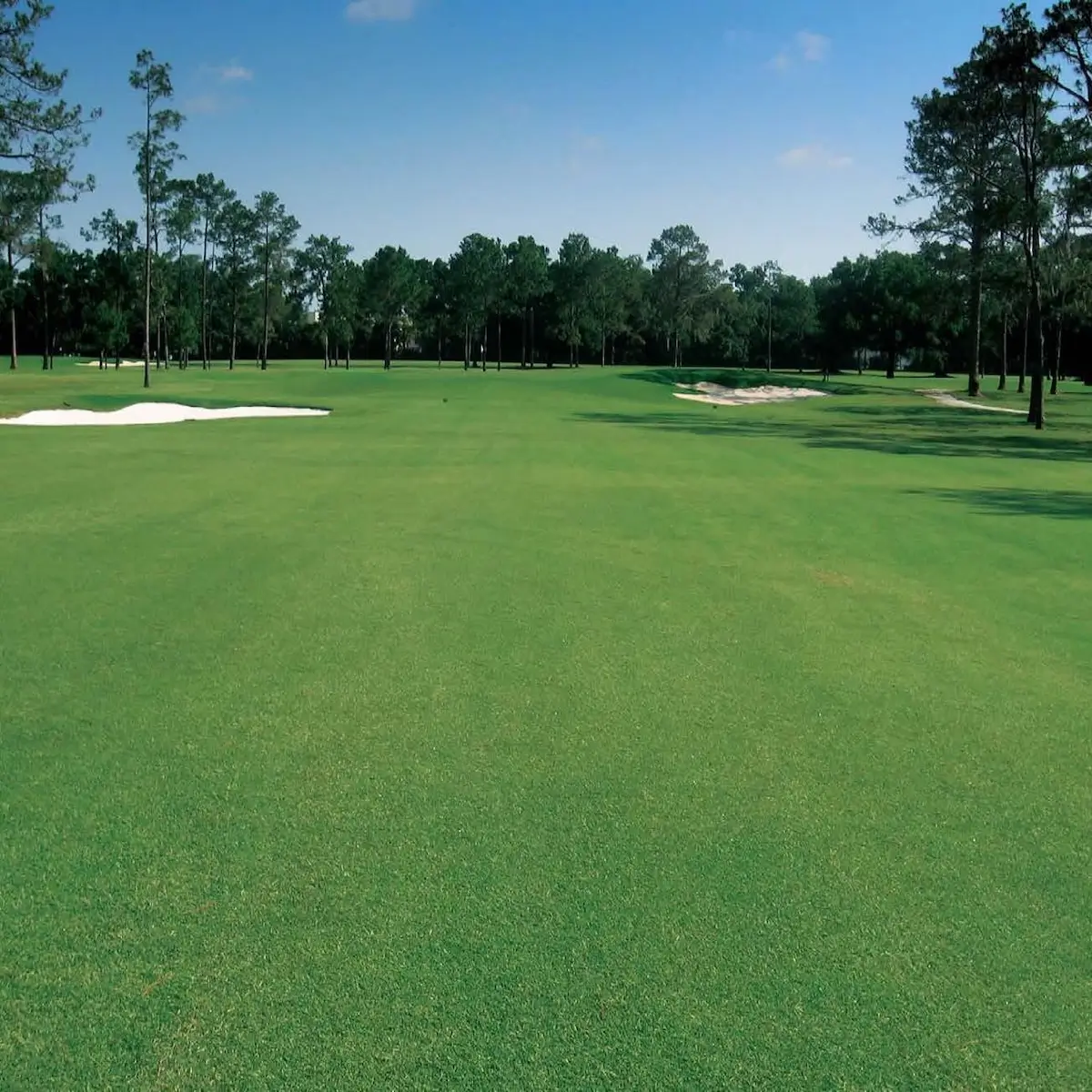 Ocala Golf Club