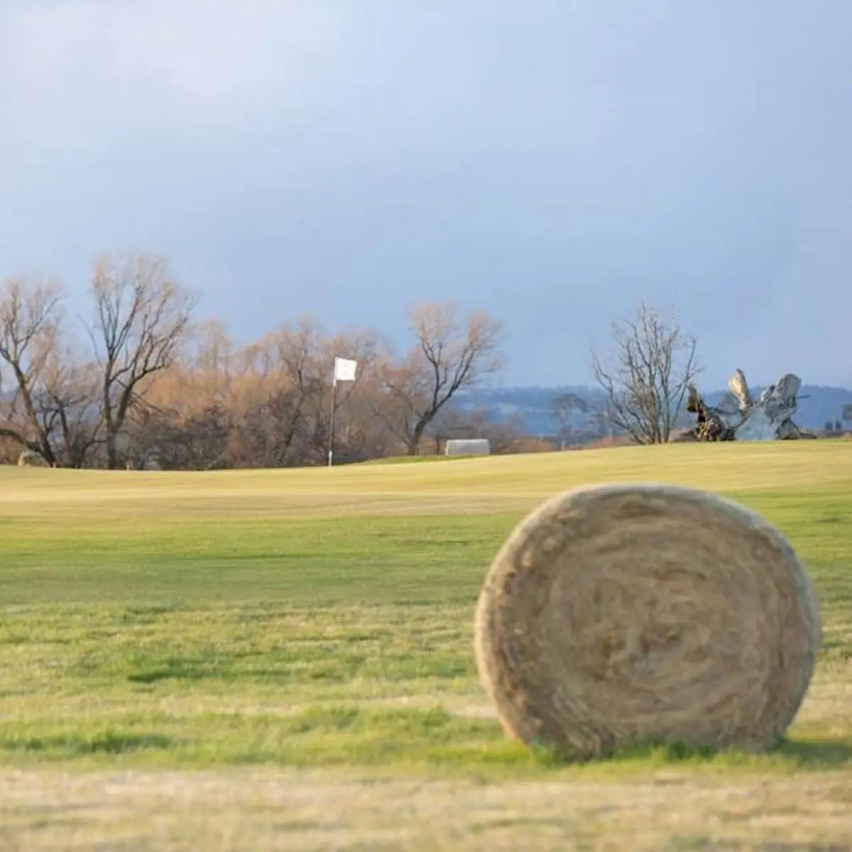 Ratho Farm Golf