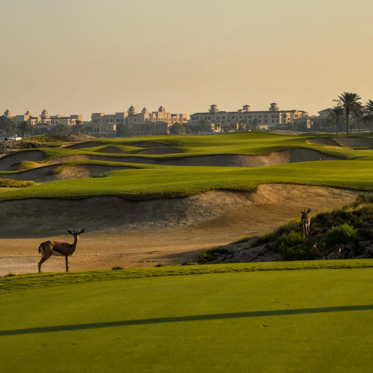 Saadiyat Beach Golf Club